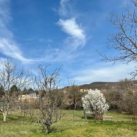 Luxury Rosemary With Free Parking In Apartament Szentendre