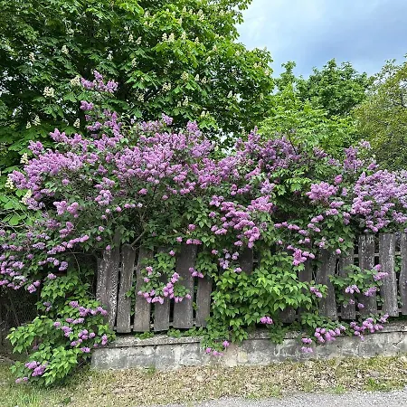 아파트 Luxury Rosemary With Free Parking In 샌탠드레